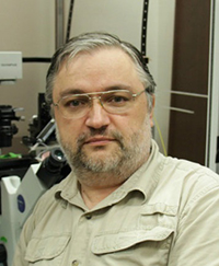 headshot